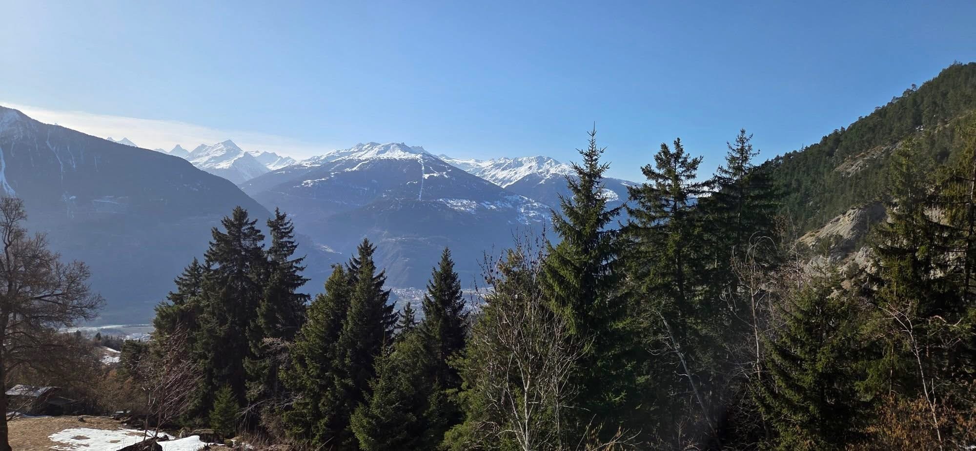Blick auf die Alpen